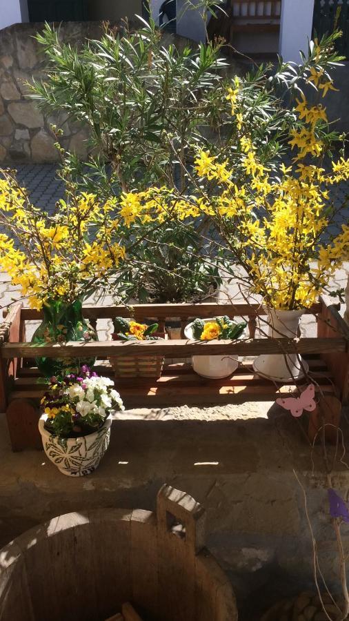 Falubiro Vendeghaza Bekolce Εξωτερικό φωτογραφία