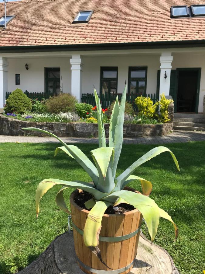 Falubiro Vendeghaza Bekolce Εξωτερικό φωτογραφία