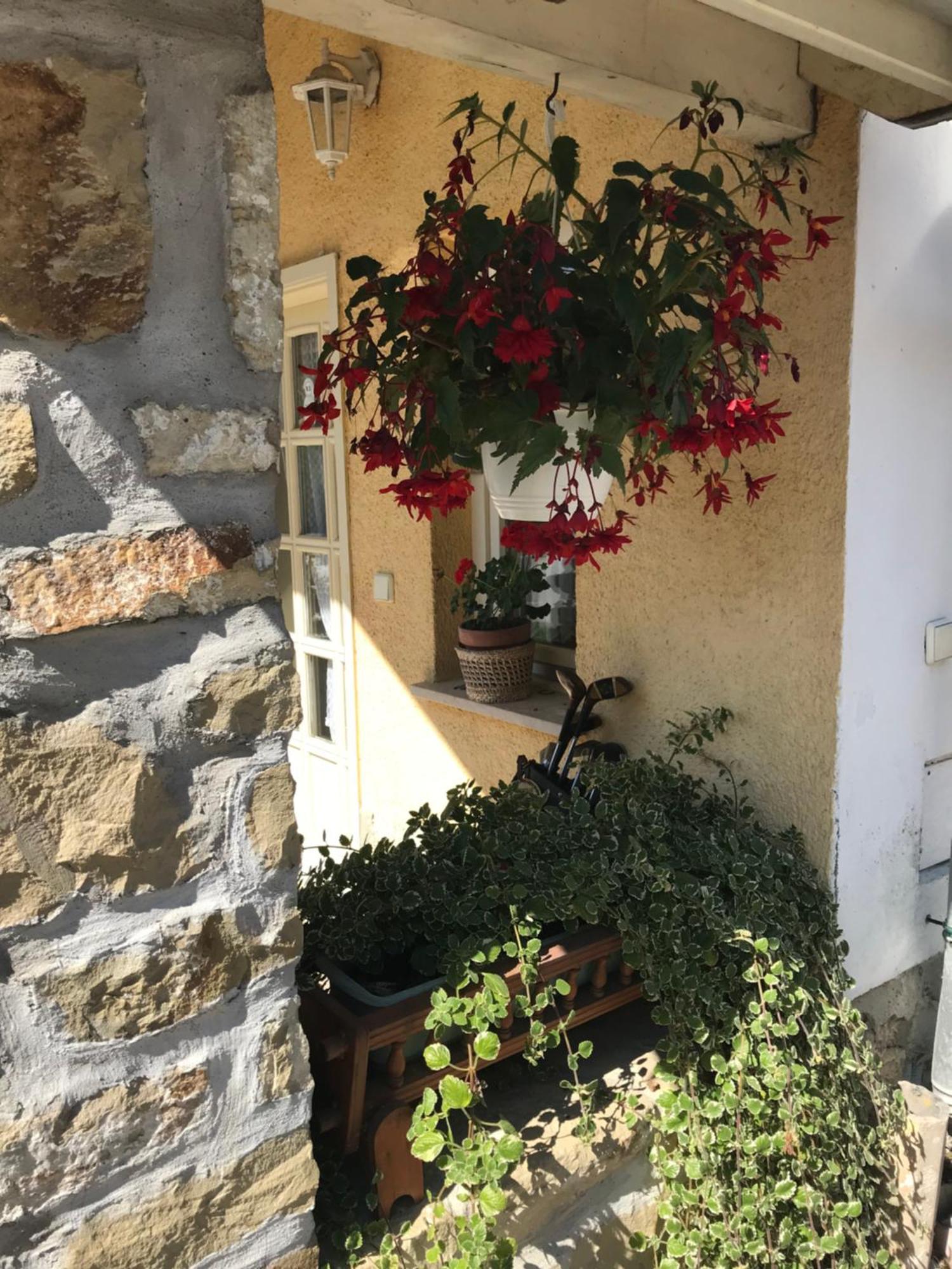 Falubiro Vendeghaza Bekolce Εξωτερικό φωτογραφία